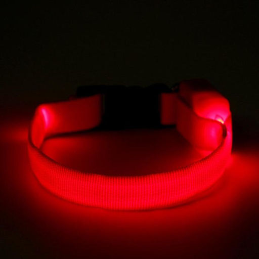 Ошейник светящийся узкий для небольших собак, 26 х 1,5 см, красный - Пижон фото 5