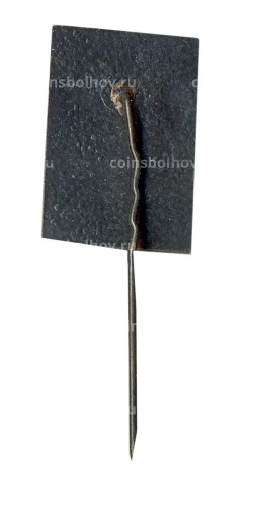 Значок Райнис