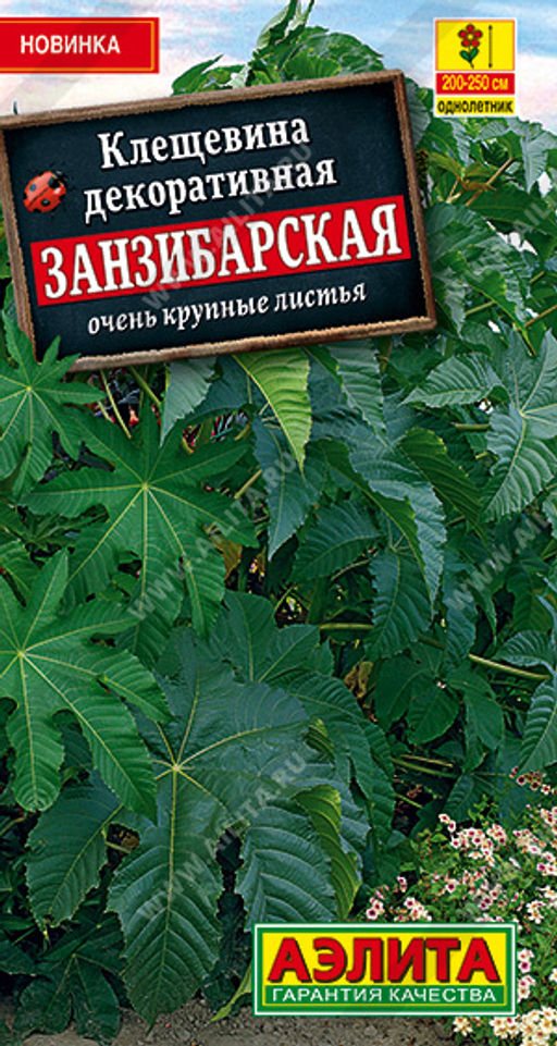 Клещевина Занзибарская (2028)