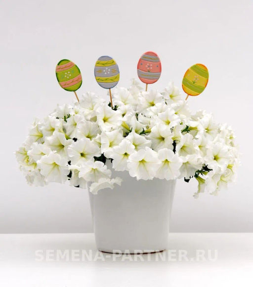 Петуния Изи Вэйв Уайт F1 каскадно-ампельная - Партнер фото 3