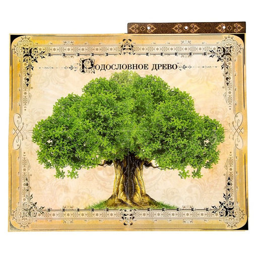 Родословная книга с рамкой под фото Семейная летопись, 50 листов, 21,5 х 23,7 см - Семейные традиции фото 3