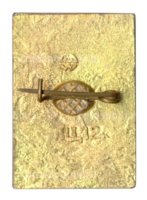 Значок София Киевская