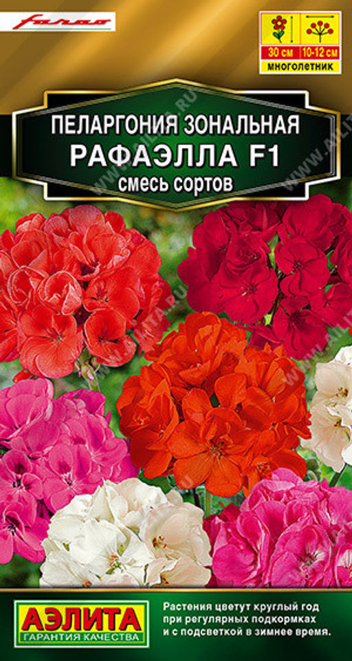 1664A Пеларгония Рафаэлла F1, смесь сортов 5шт