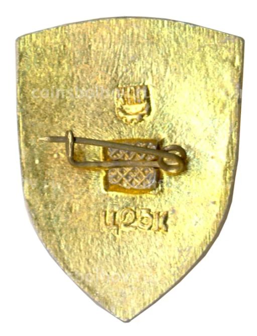 Значок Киев