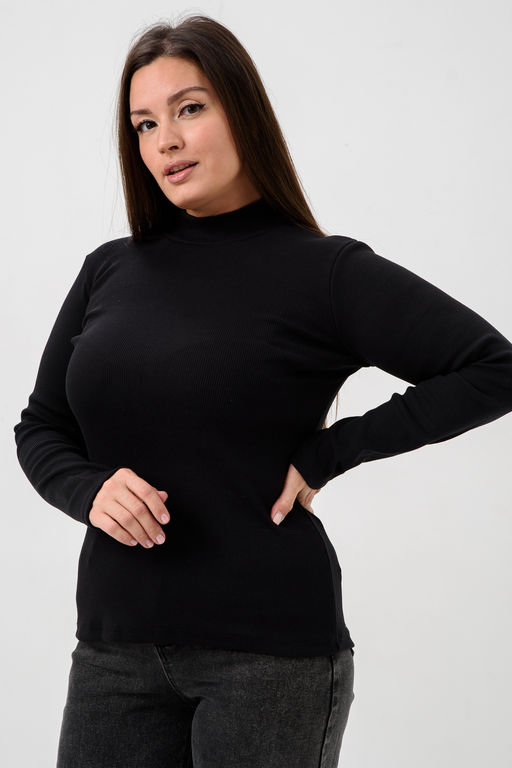 52713 Водолазка женская