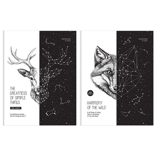 Бизнес-блокнот А5 80л. "Wide world" ("BG", ББ5т80_лм 11160) матовая ламинация