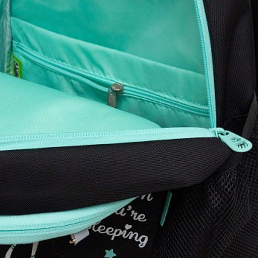 RG-463-1 Рюкзак школьный с обвесом - Grizzly фото 15