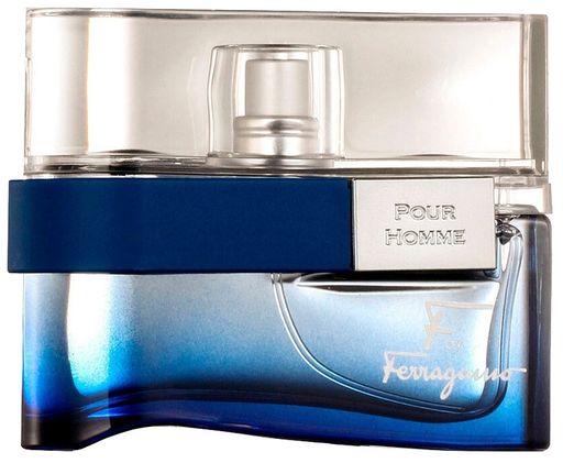 S. FERRAGAMO F BY FERRAGAMO FREE TIME m EDT 100 ml M, туалетная вода