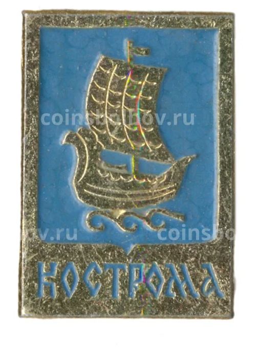 Значок Кострома