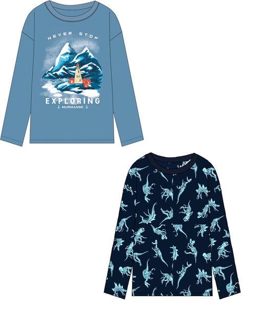 2лонгслива 2ПДЛД5862001н