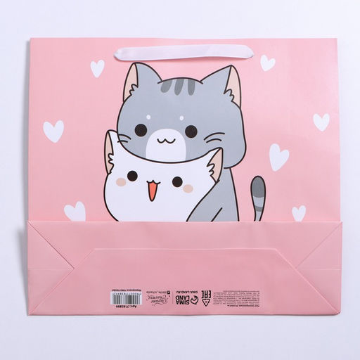 Цена за 2 шт. Пакет подарочный ламинированный, упаковка, «Киса», M 30×25.5×9 см