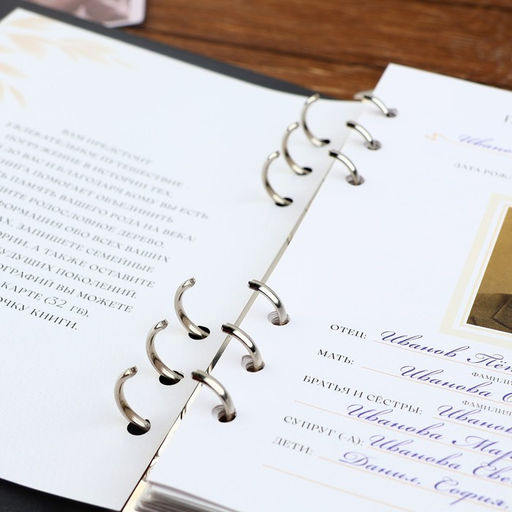 Родословная книга со встроенной флешкой 16 Gb «Книга всей семьи», 17.5×23 см.