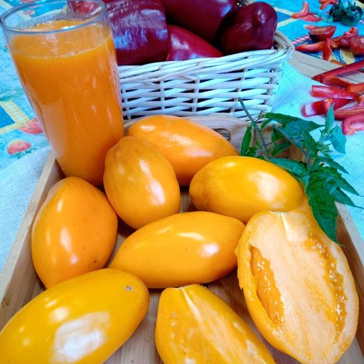 Томат ОЛЕСЯ Мякоть нежная с бархатистым вкусом абрикос- манго! Не пожалеете! - Уральский дачник фото 2