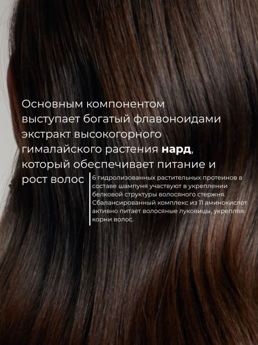 BOUQUET GARNI NARD - ШАМПУНЬ ДЛЯ ВОЛОС И КОЖИ ГОЛОВЫ SHAMPOO SIGNATURE, 1000 МЛ  фото 4