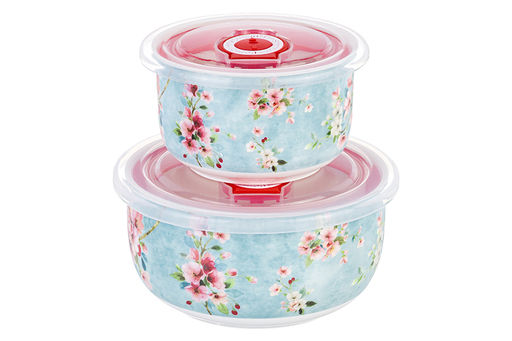 Набор 2 салатников 560 мл 13*13*6,5 см + 260 мл 10,5*10,5*6 см Яблоневый цвет на голубом без зол.к - Elan gallery фото 4