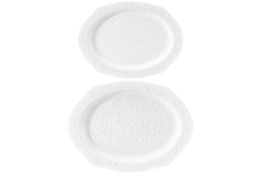Набор 2 блюд 30,5*23*2 см и 25,5*19*2 см "Веточки-цветочки" овальное, фарфор