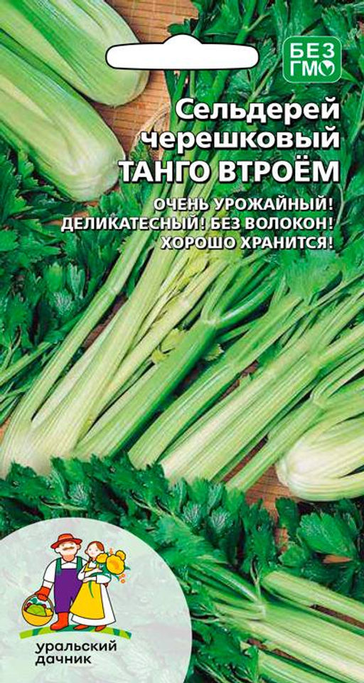 Сельдерей черешковый ТАНГО ВТРОЁМ  Очень урожайный! Деликатесный! Без волокон! Хорошо хранится! - Уральский дачник фото 2