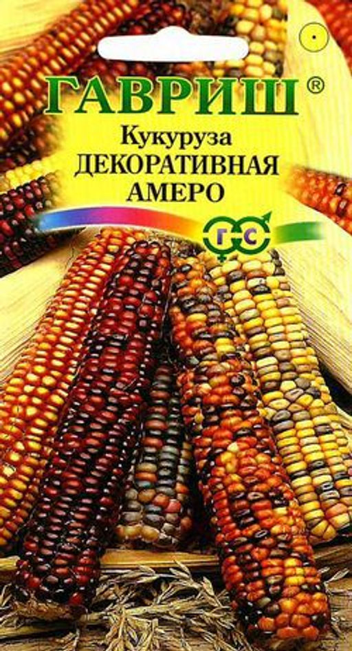 Кукуруза Амеро декоративная 5шт (г)