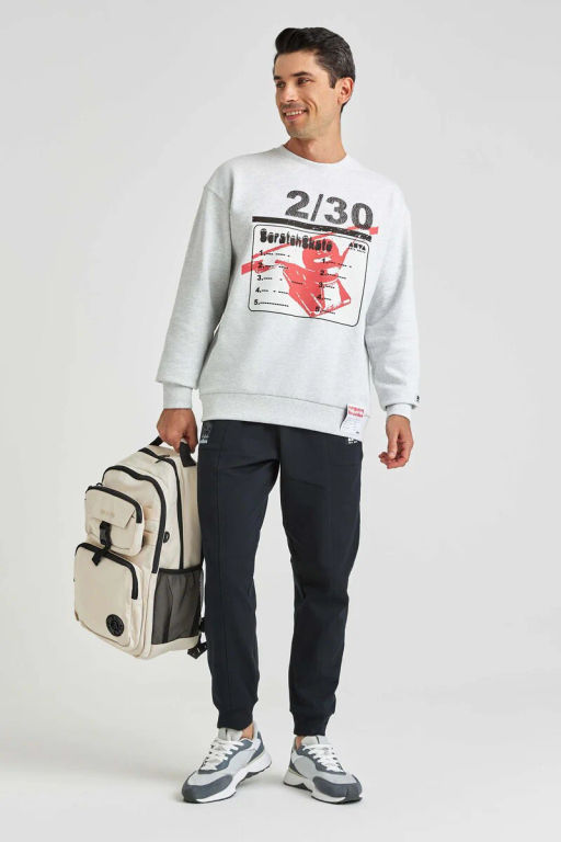 Свитшот Anta SCRATCH SKATE  фото 4