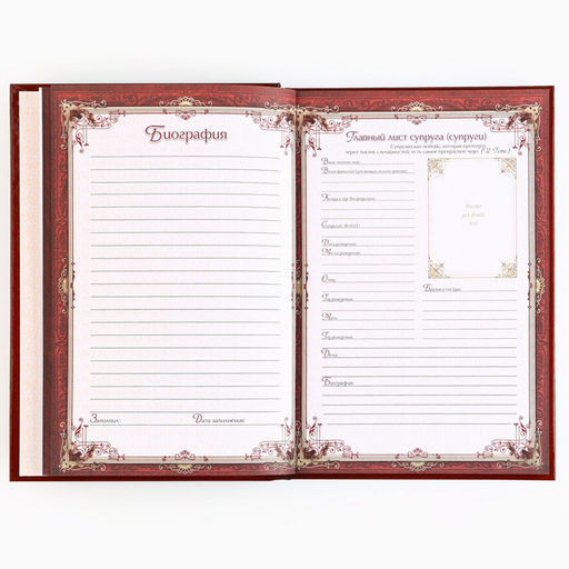 Родословная книга новогодняя «Дед Мороз» 17×2×23.7 см