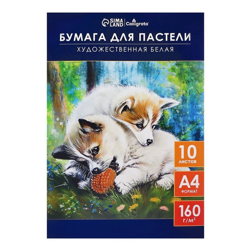 Бумага для пастели А4, 10 листов "Щенки", блок 160 г/м2, в папке
