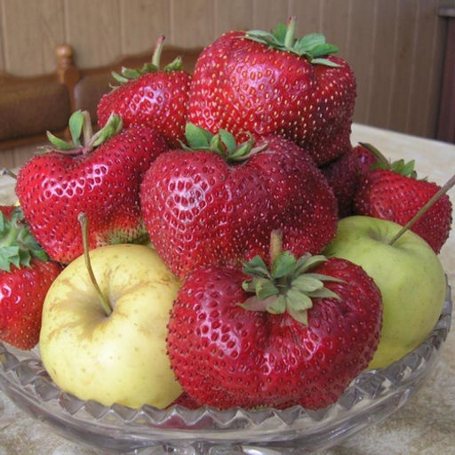 Клубника Чамора Туруси