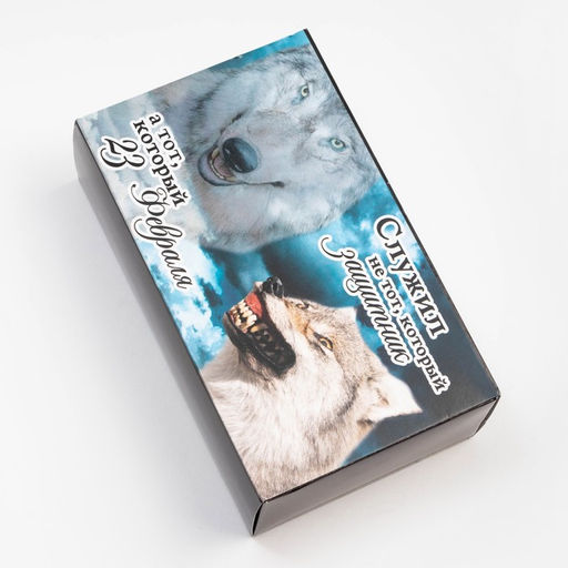 Набор мужских носков KAFTAN «Волк», набор 2 пары, размер 41-44 (27-29 см)