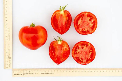 Томат Тореадор - Партнер фото 6