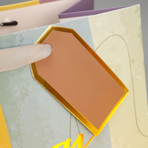 Пакет подарочный ламинированный, упаковка, тиснение, «Лови момент», 25×30.5×12.5 см