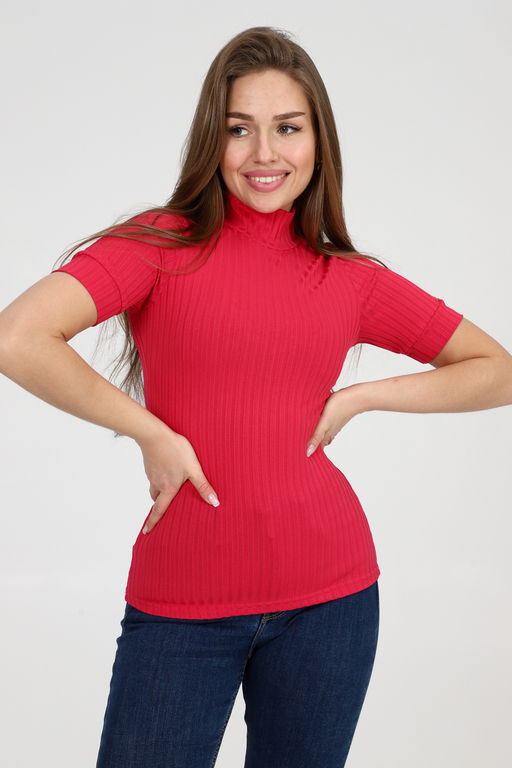 Водолазка 26001