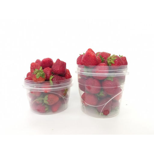 Контейнер универсальный 1 л