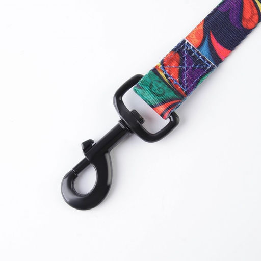 Поводок Невозможно слиться с улицей, 2.5 см, 2 м - Пушистое счастье фото 9