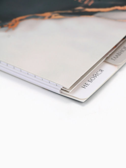 Цена за 2 шт. Блокнот с разделителями А6, 48 листов «365 дней»