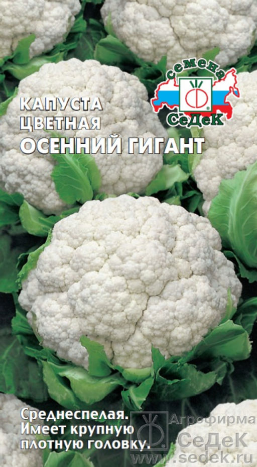 Капуста цветная Осенний гигант 0,5г (СеДеК)