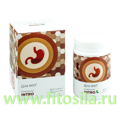 Галлерия меллонелла - МАКСИ (G.mellonella - MAXI) комплекс для глаз 60 гранул по 0,75 ЖИВА  фото 3