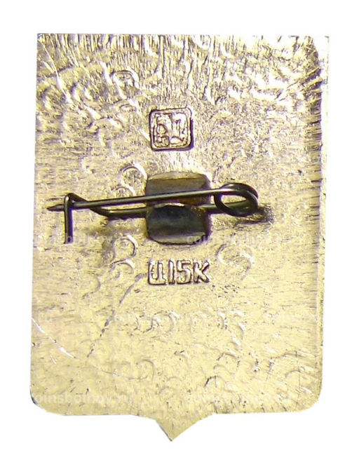 Значок Боровичи