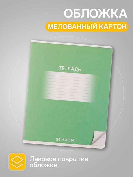 Комплект тетрадей из 10 штук, 24 листа в клетку Calligrata «Школьная», обложка мелованный картон, ВД-лак, блок офсет, 5 видов по 2 штуки