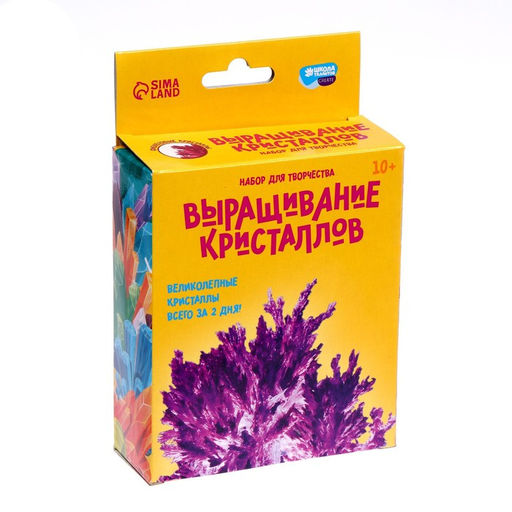 Набор для творчества Лучистые кристаллы, цвет фиолетовый - Школа талантов фото 4