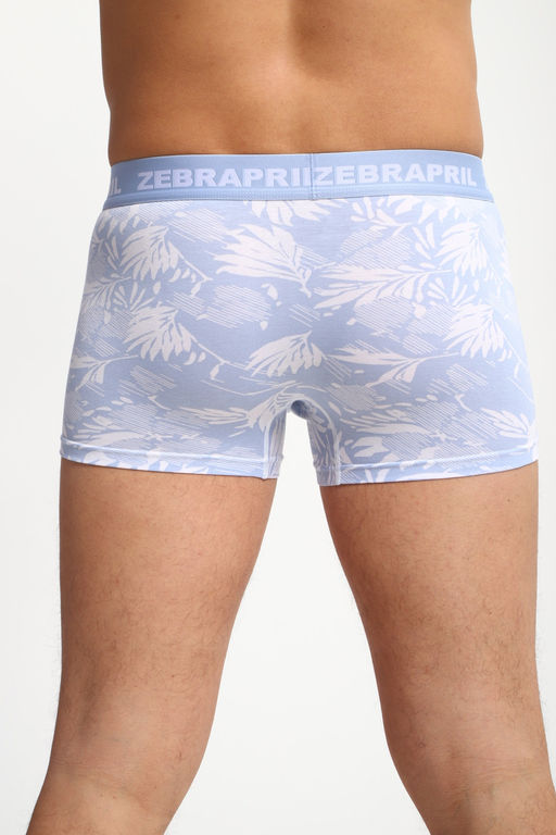 Трусы мужские 45072