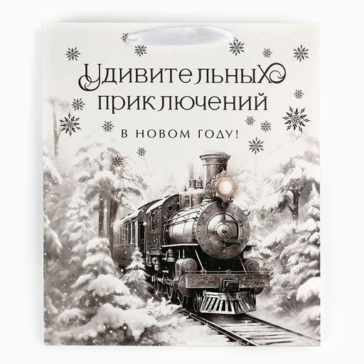 Пакет подарочный новогодний ламинированный «Приключений в новом году», тиснение, ML 23×27×11.5 см