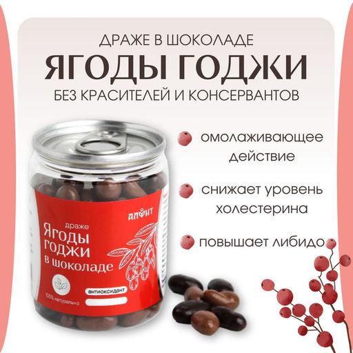 Драже Ягоды годжи в шоколаде 100 г Алфит 6936