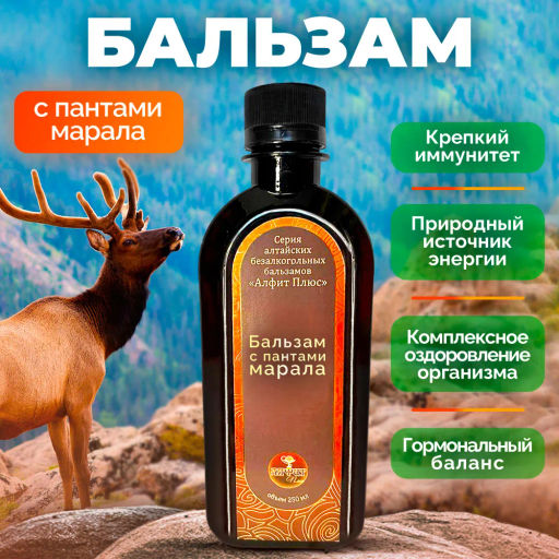 Бальзам Алфит Плюс, с пантами марала (стекло) Алфит Плюс 1876  фото 2