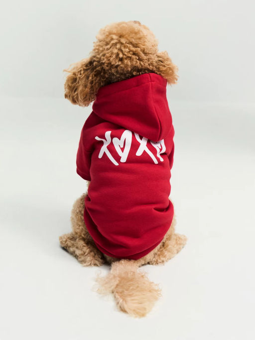 Толстовка для питомца с принтом / Zarina