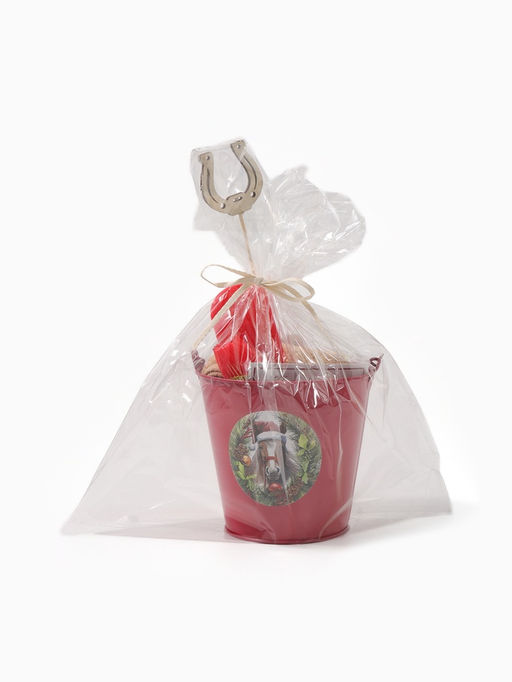 Набор подарочный Доляна Лошадь, 6 предметов, полотенце и аксессуары