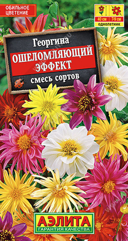 6087U Георгина Ошеломляющий эффект, смесь сортов 10шт