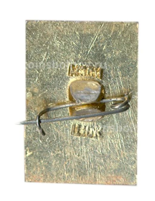 Значок Владимир