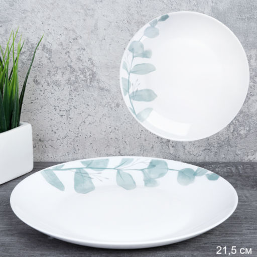 Набор тарелок 6 штук 220 мм Евро Дэй / FLYGP85 (24111) /уп 8/ Эвкалипт