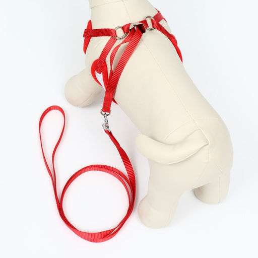 Комплект с мягкой шлейкой и бантиком Якорь, размер S, поводок 120 x 1,5 см, ОГ 23-42 см, красный - Пижон фото 3