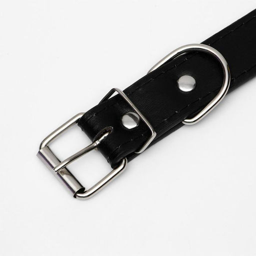 Ошейник Косточки морозостойкий украшенный, 52 х 2,5 см, ОШ 37-47 см, чёрный - Пижон фото 4