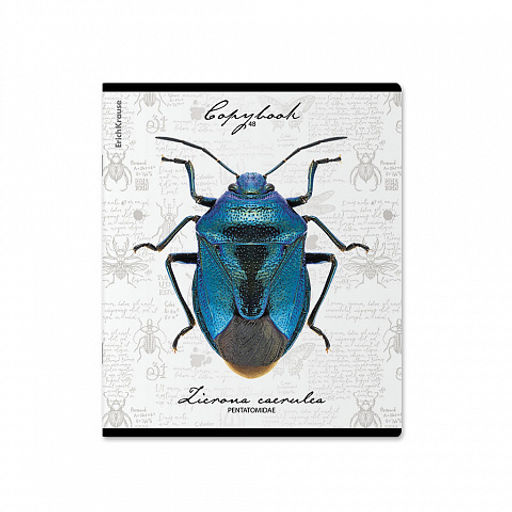 Цена за 5 шт. Тетрадь общая ученическая ErichKrause Жуки, 48 листов, клетка, мат. лам.+выборочный УФ-лак+тиснение фольгой+конгрев, доп.лист_MIX-PACK фото 5